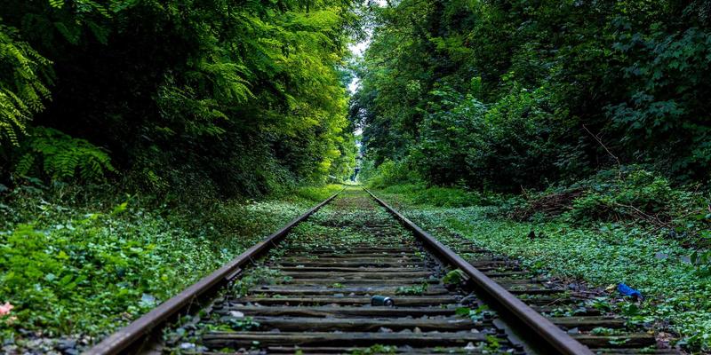 从婚礼到蜜月：金源诚信一站式奢华婚庆旅行策划全案解析