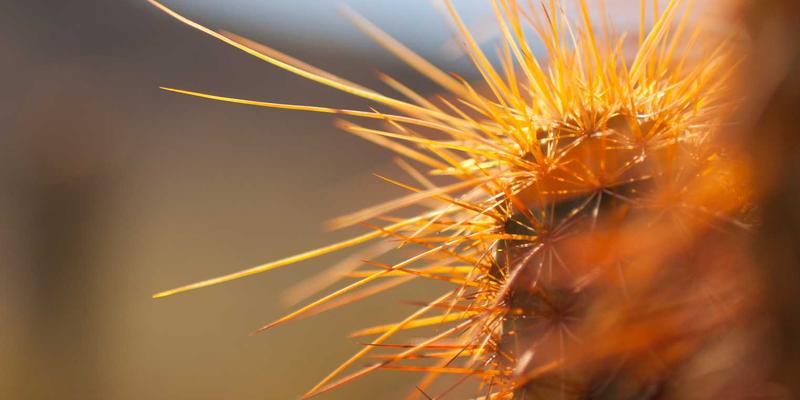 从行前说明会到平安归来：揭秘金源诚信旅游全流程跟团游服务细节