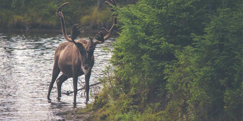 揭秘金源诚信旅游：私人订制服务背后的供应商筛选与品控全流程