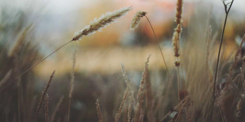 金源诚信旅游：专业商务考察与行业峰会跟团游套餐，赋能企业全球资源对接